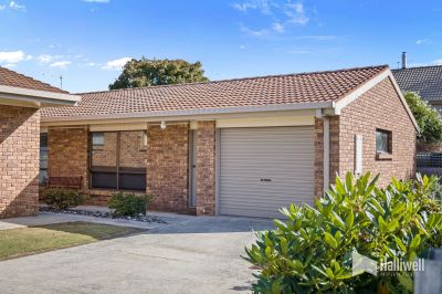 3/156 James Street, Devonport, Devonport - Thumbnail 8