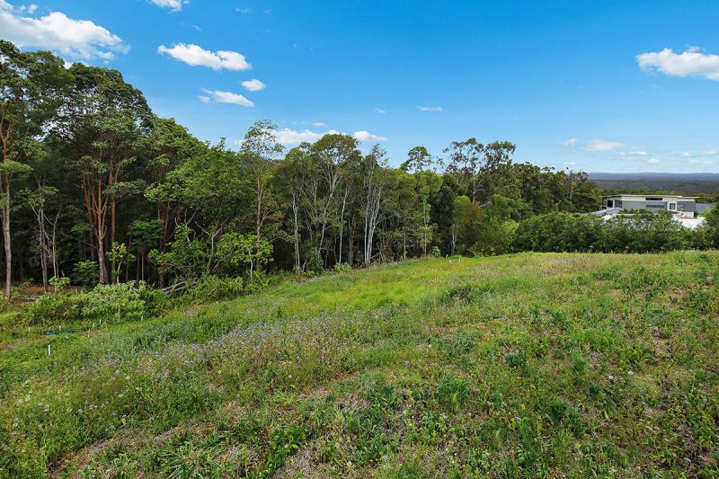 55 Cogill Road Buderim QLD, Buderim - Thumbnail 8