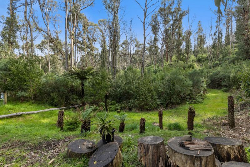 4 Illowra Avenue, Wye River, VIC, Wye River - Thumbnail 3