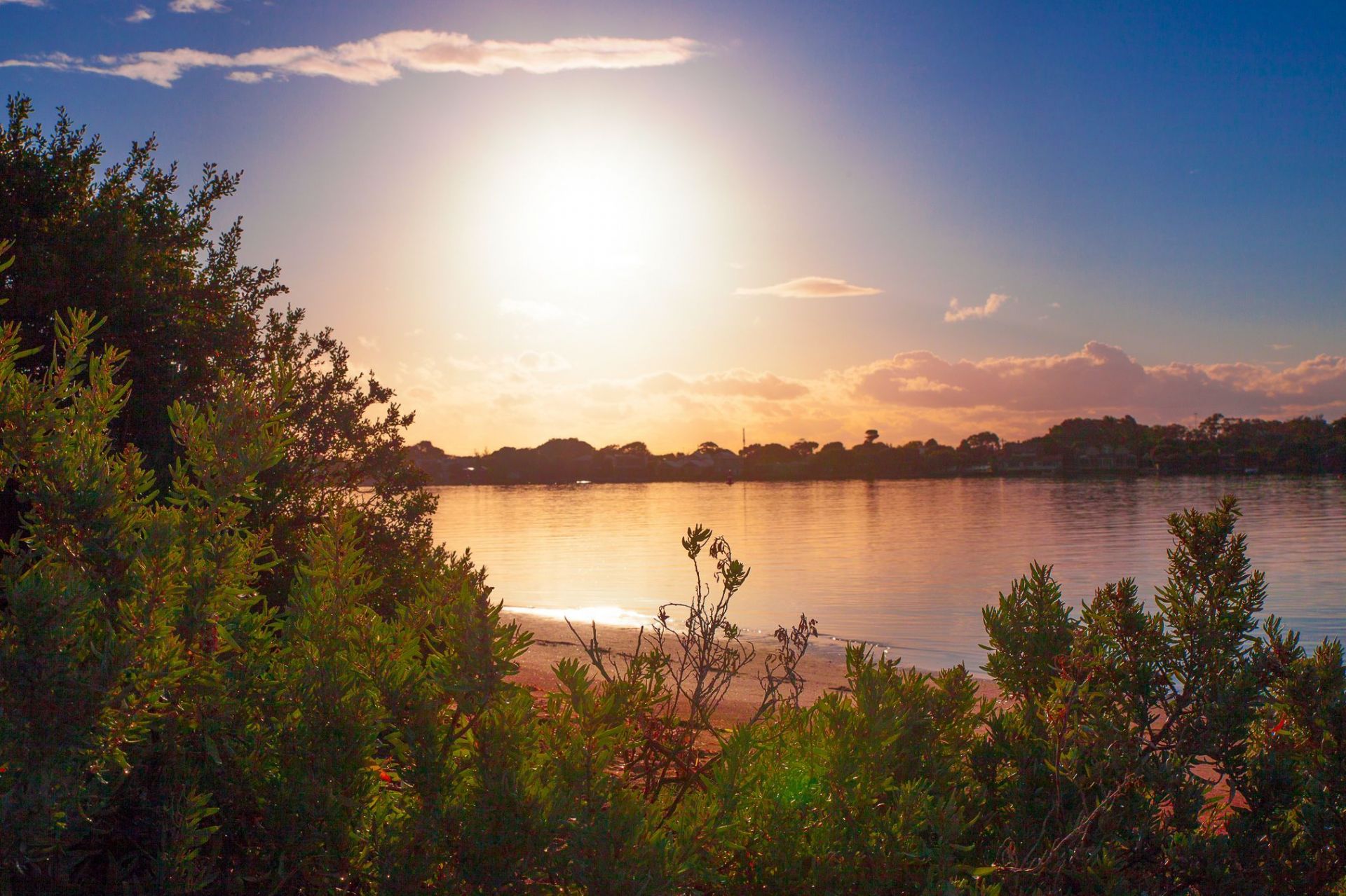 26a The Terrace Ocean Grove VIC, Ocean Grove - Thumbnail 6