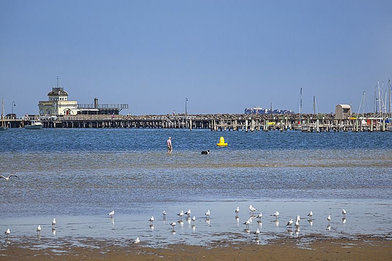 39/1 St Kilda Road, St Kilda - Thumbnail 8