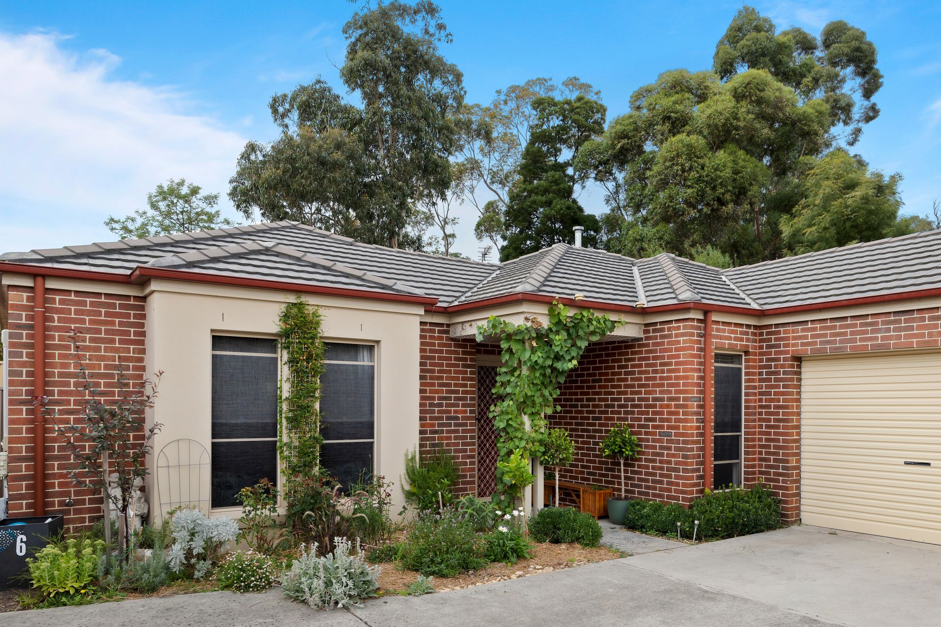 6/115A Mansfield Avenue, Mount Clear, Mount Clear, Mount Clear - Thumbnail 3