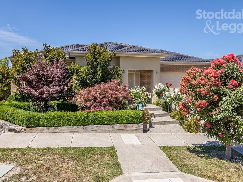 48 Chicory Street MERNDA, Mernda - Thumbnail 3