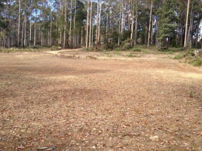 51 Wattle Valley Road, ACACIA HILLS, Acacia Hills - Thumbnail 2