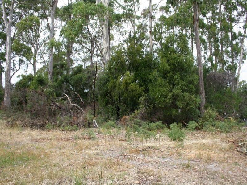 1 Bush Haven Drive, PORT SORELL, Port Sorell - Thumbnail 4