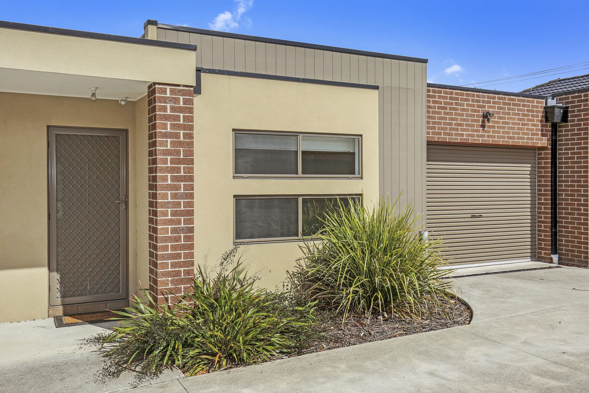 SUMMERHILL DELIGHT