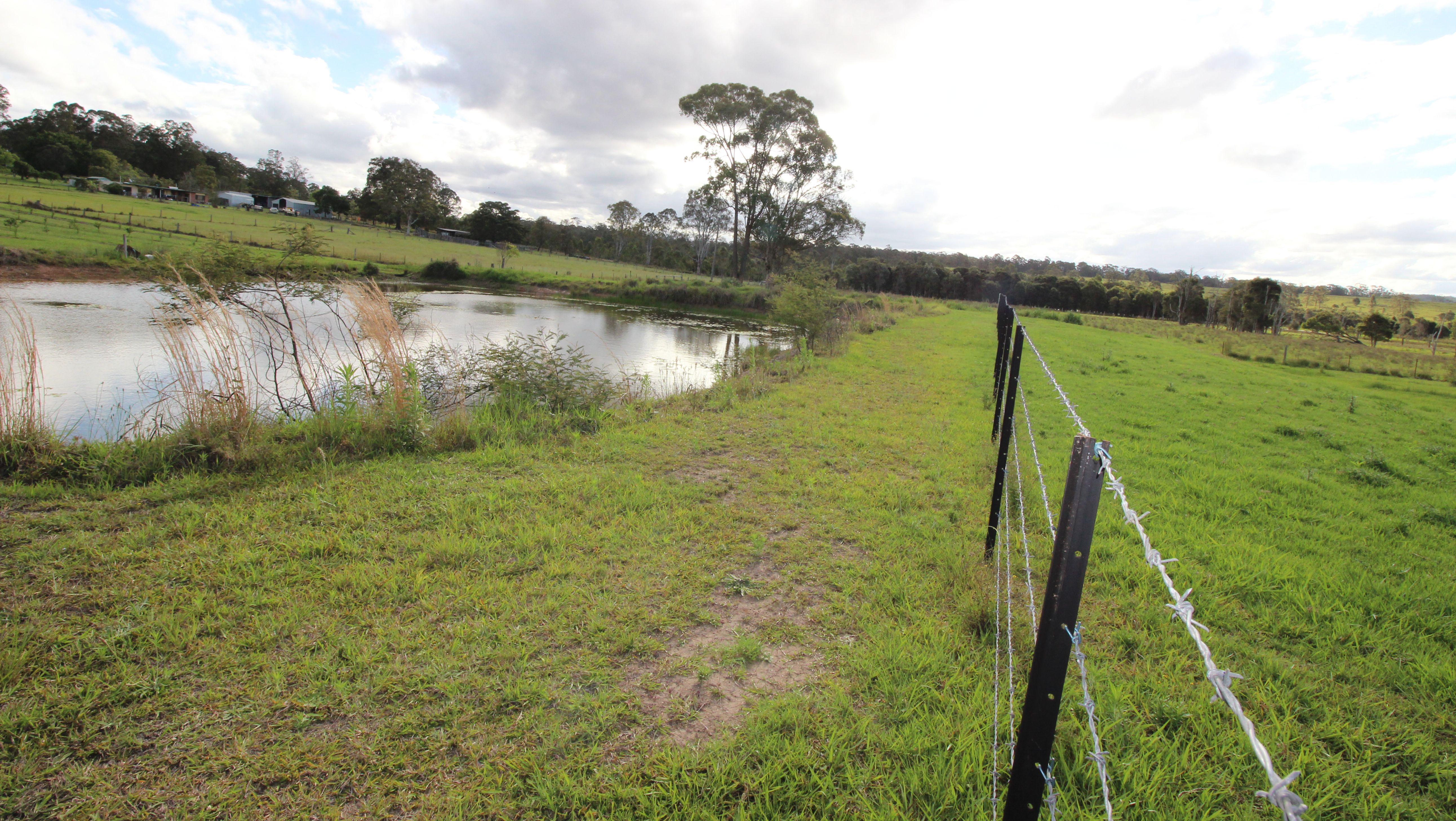 1252 Collombatti Rd, COLLOMBATTI NSW 2440