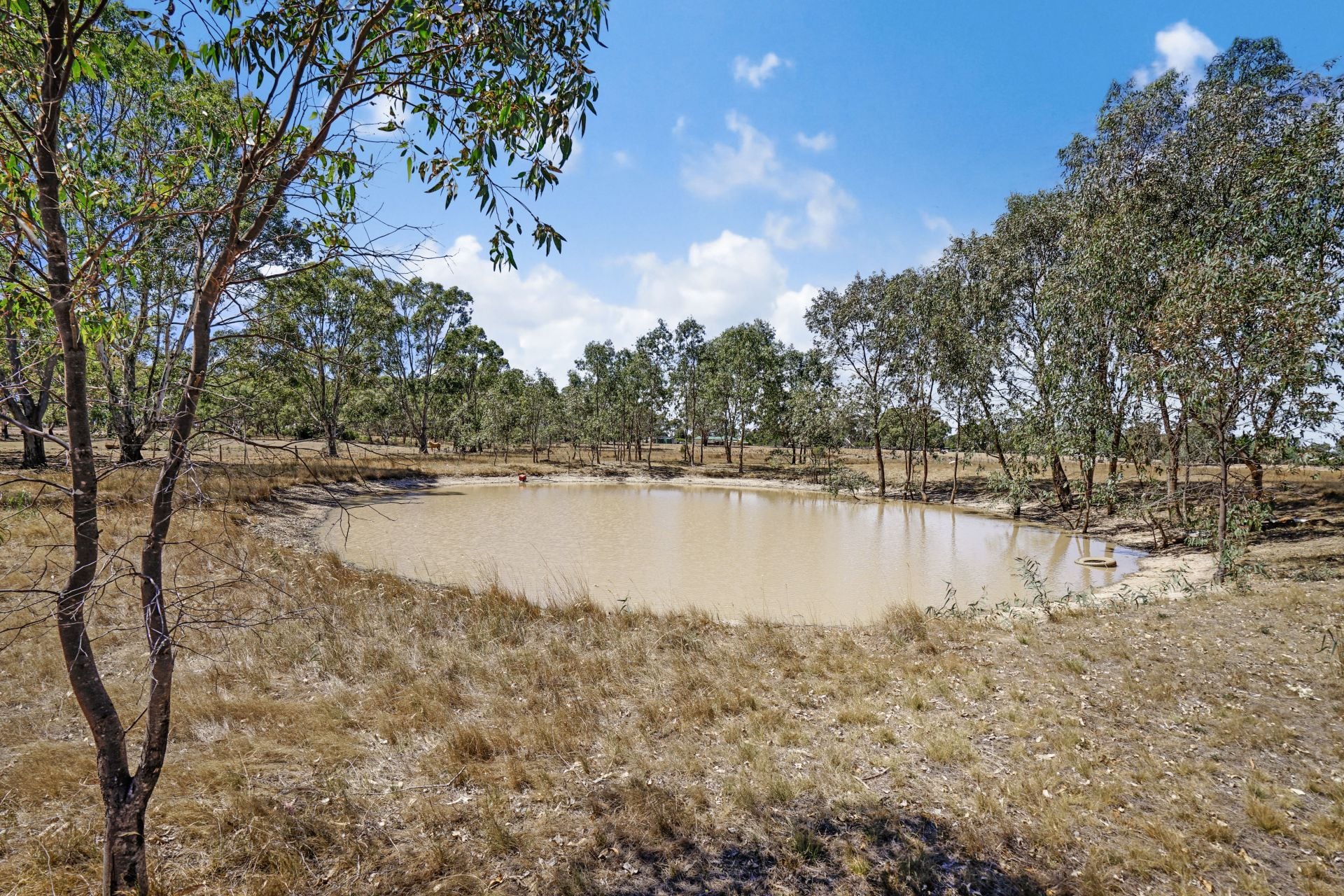 50 Fairview  Drive, Clunes, Clunes - Thumbnail 2