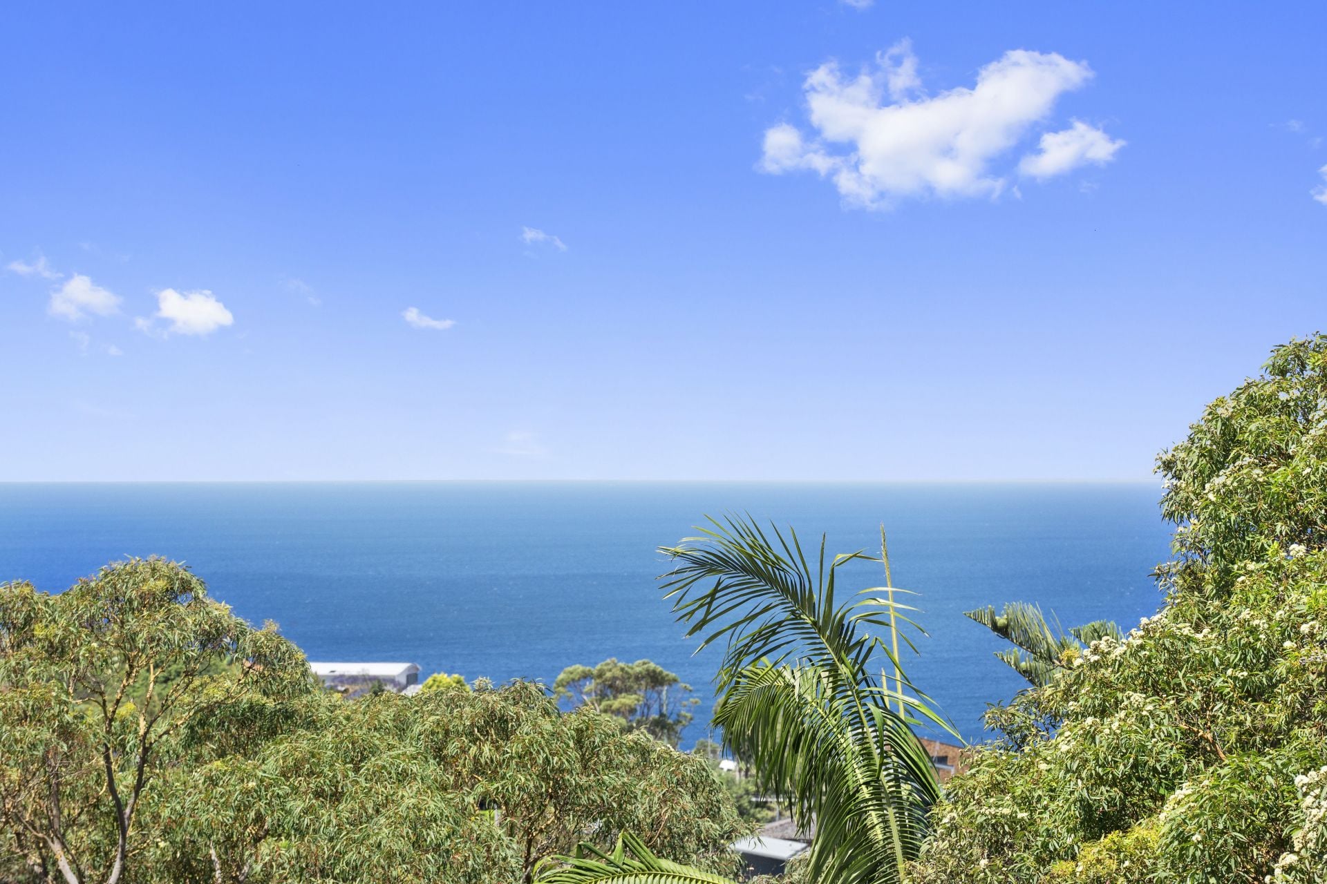 15 Daly Street Bilgola Plateau NSW 2107, Bilgola Plateau - Thumbnail 4