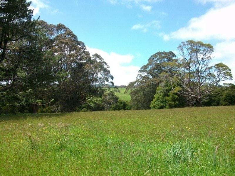 150 Old Colac Road BEECH FOREST VIC, Beech Forest - Thumbnail 5
