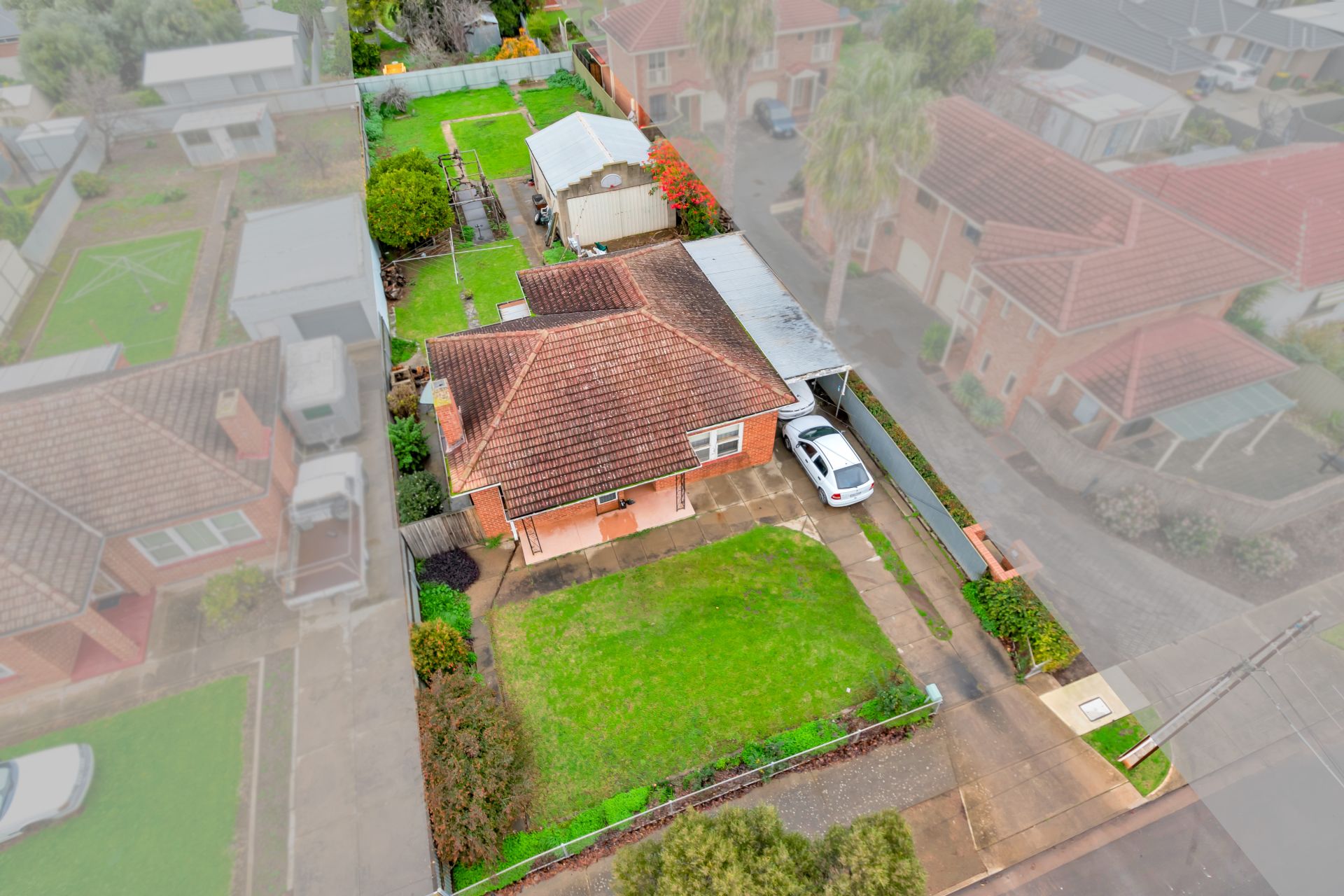 12 Shearing Street, Oaklands Park - Thumbnail 3