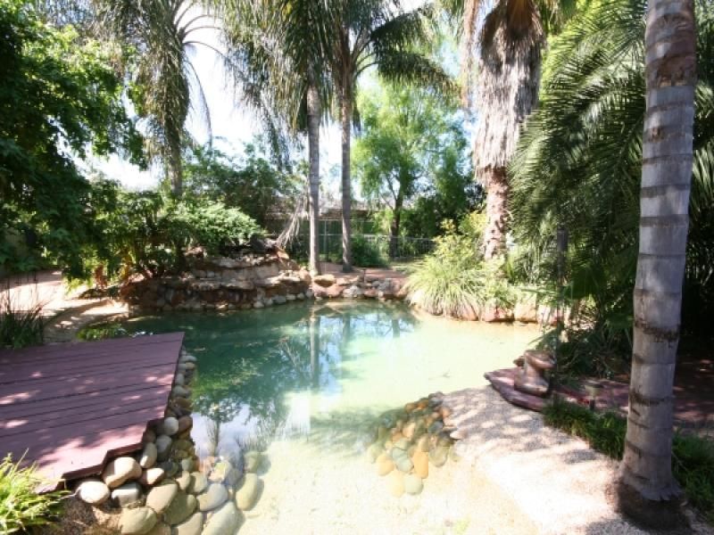 AGNES BANKS, NSW, Agnes Banks - Thumbnail 2