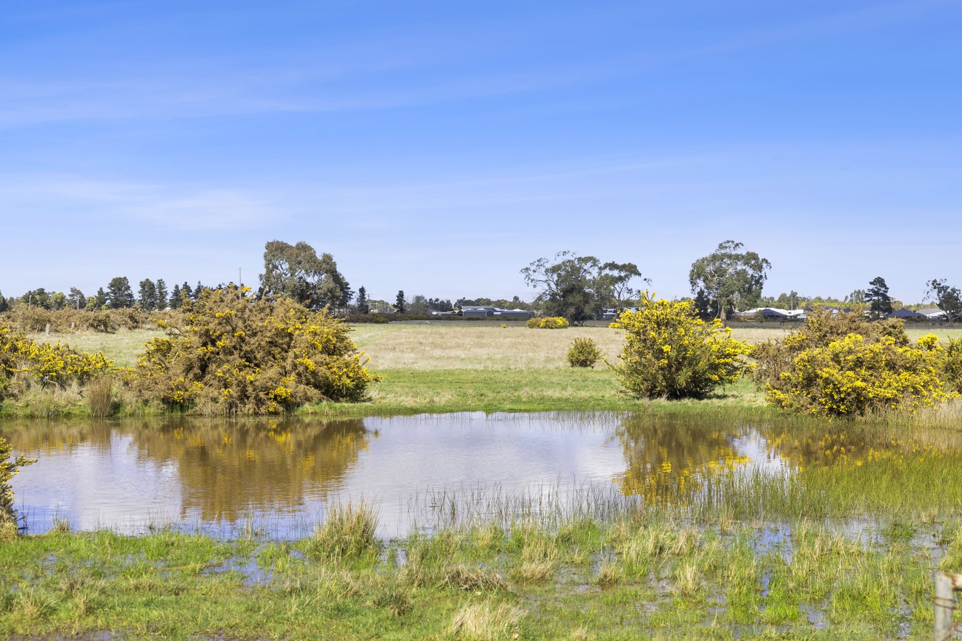36/ Airport Road, Mitchell Park, Mitchell Park, Mitchell Park - Thumbnail 6
