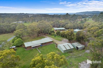 27 Arnold Drive, Port Sorell, Port Sorell - Thumbnail 3