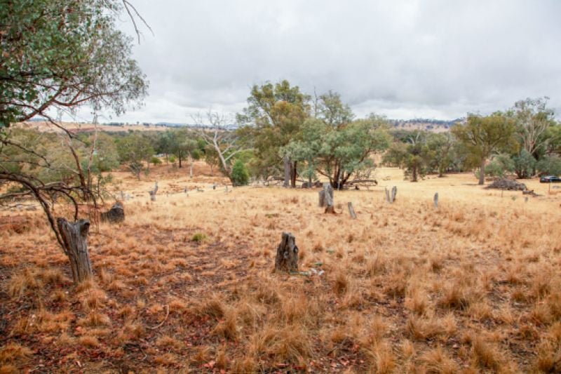 174 Jelbart Road Albury NSW, Albury - Thumbnail 8