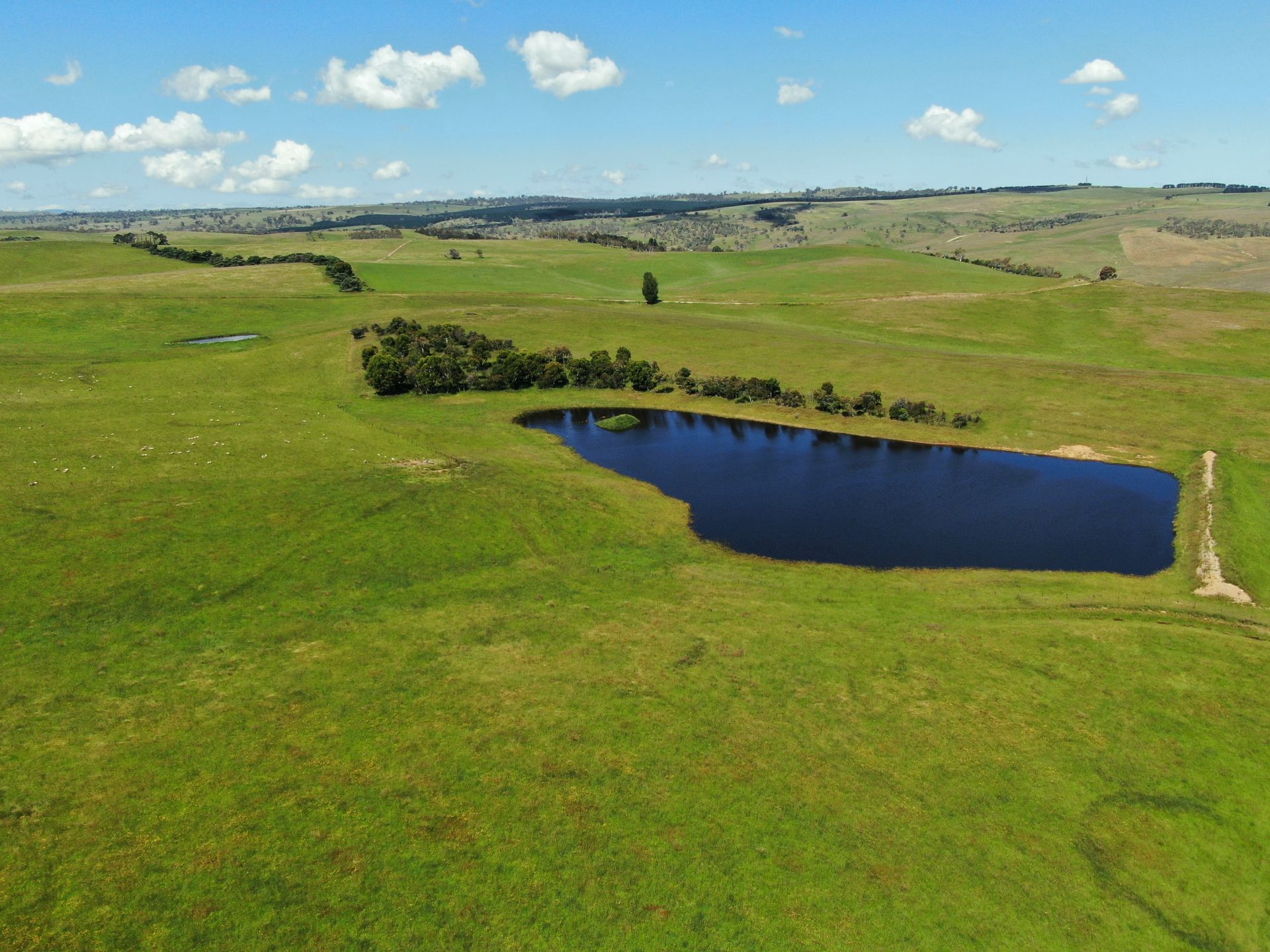 575 Palarang Road, Bombala Inglis Rural Property