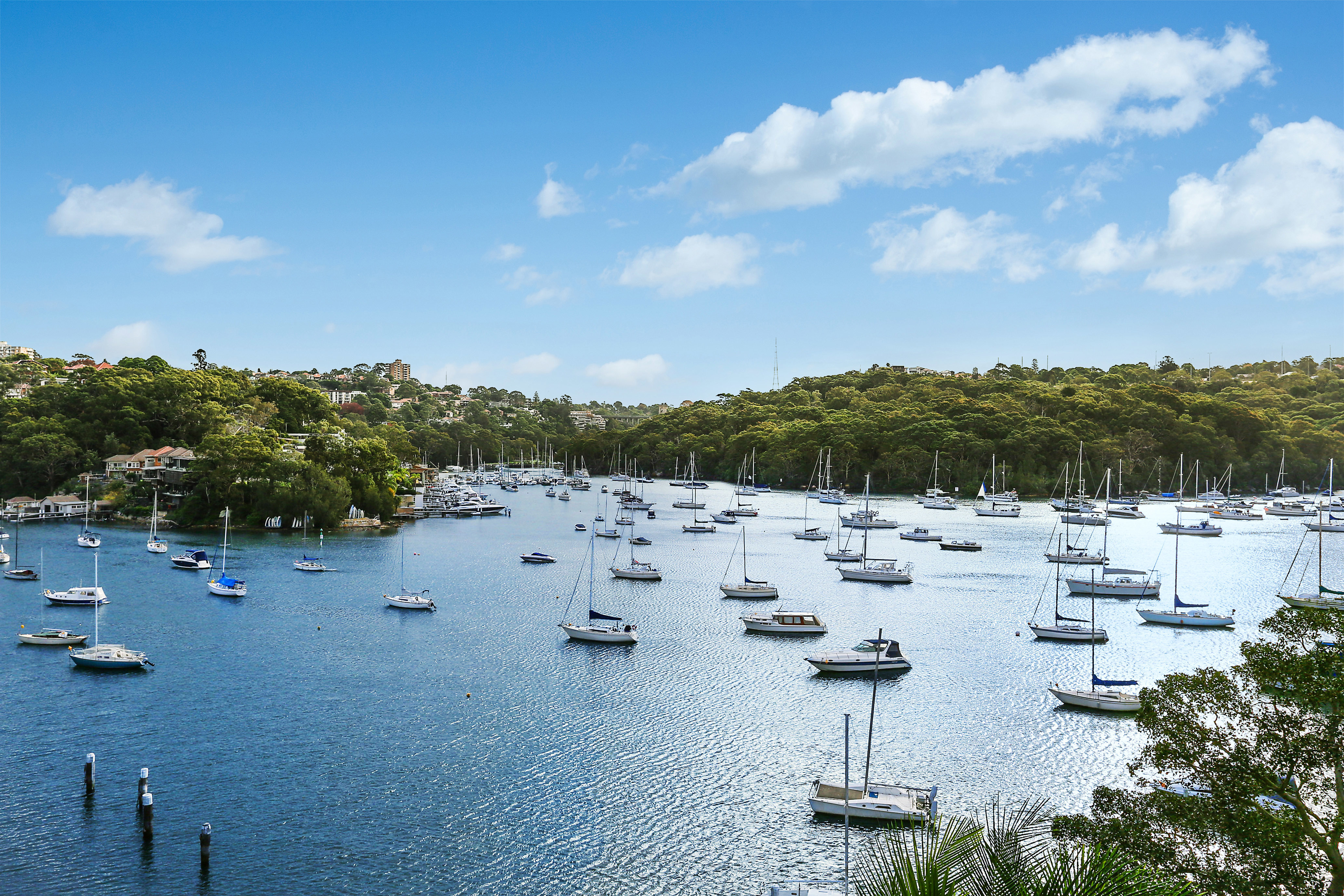 26  Wonga Road  Mosman 2088