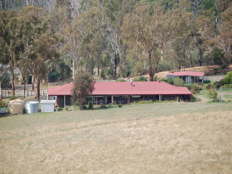 Real Estate For Sale 360 Clonbinane Road Clonbinane , VIC