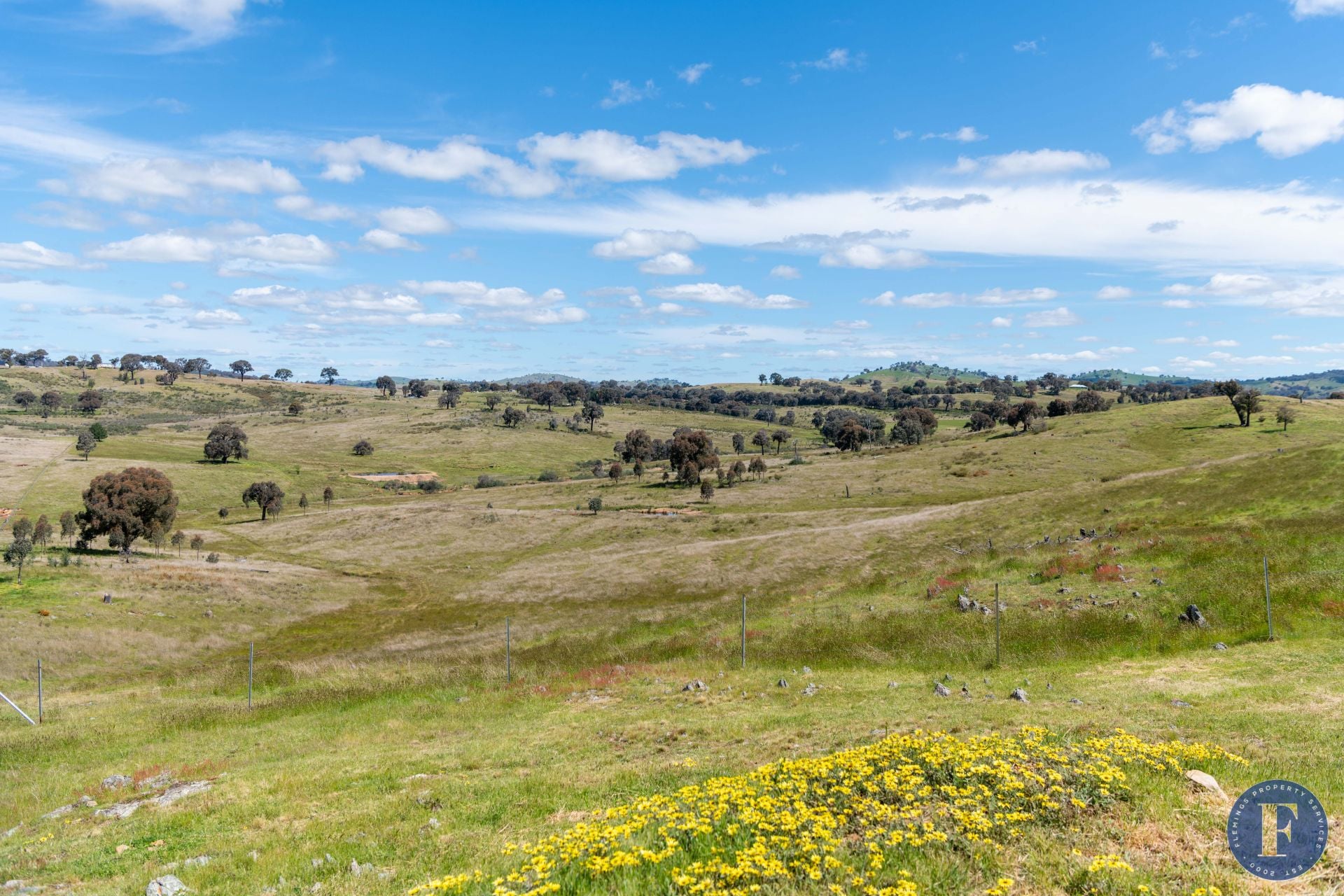 86 Old Wheeo Road, Taylors Flat NSW, Taylors Flat - Thumbnail 4