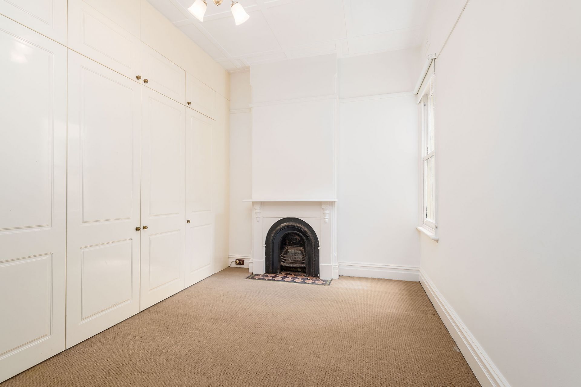 Sold - Great Looks, Character and Lifestyle