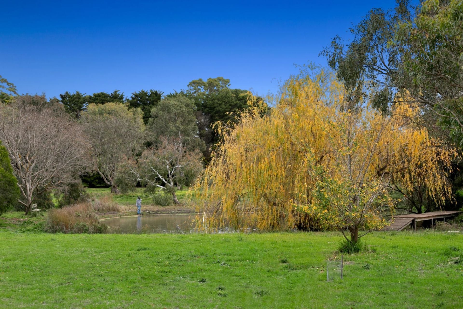 6-10 Campbell Street Drysdale VIC, Drysdale - Thumbnail 7