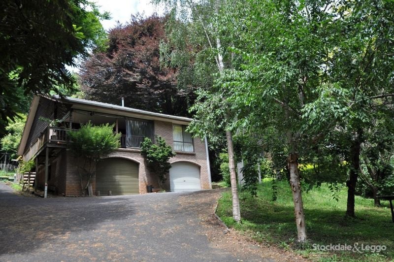216 Monbulk Road, THE PATCH VIC