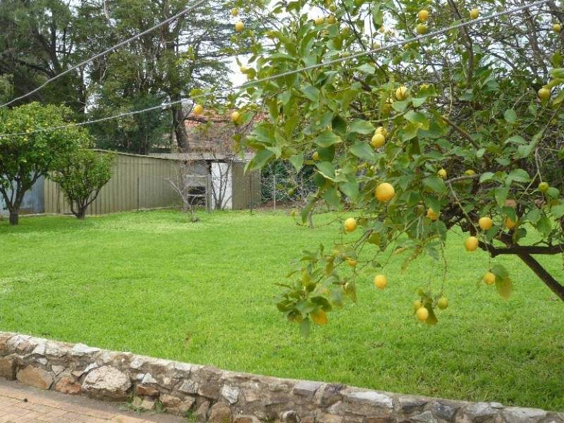 17 Derwent Avenue Magill 5072
