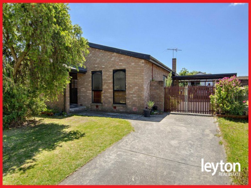 Looking for a good house with big land...