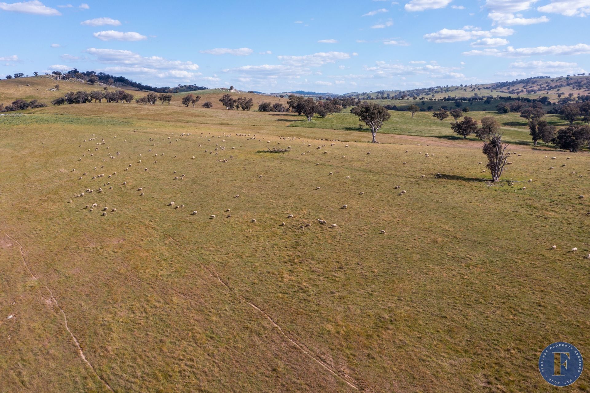 'Tyrone' 355 Ironbark Lane, Frogmore NSW, Frogmore - Thumbnail 4