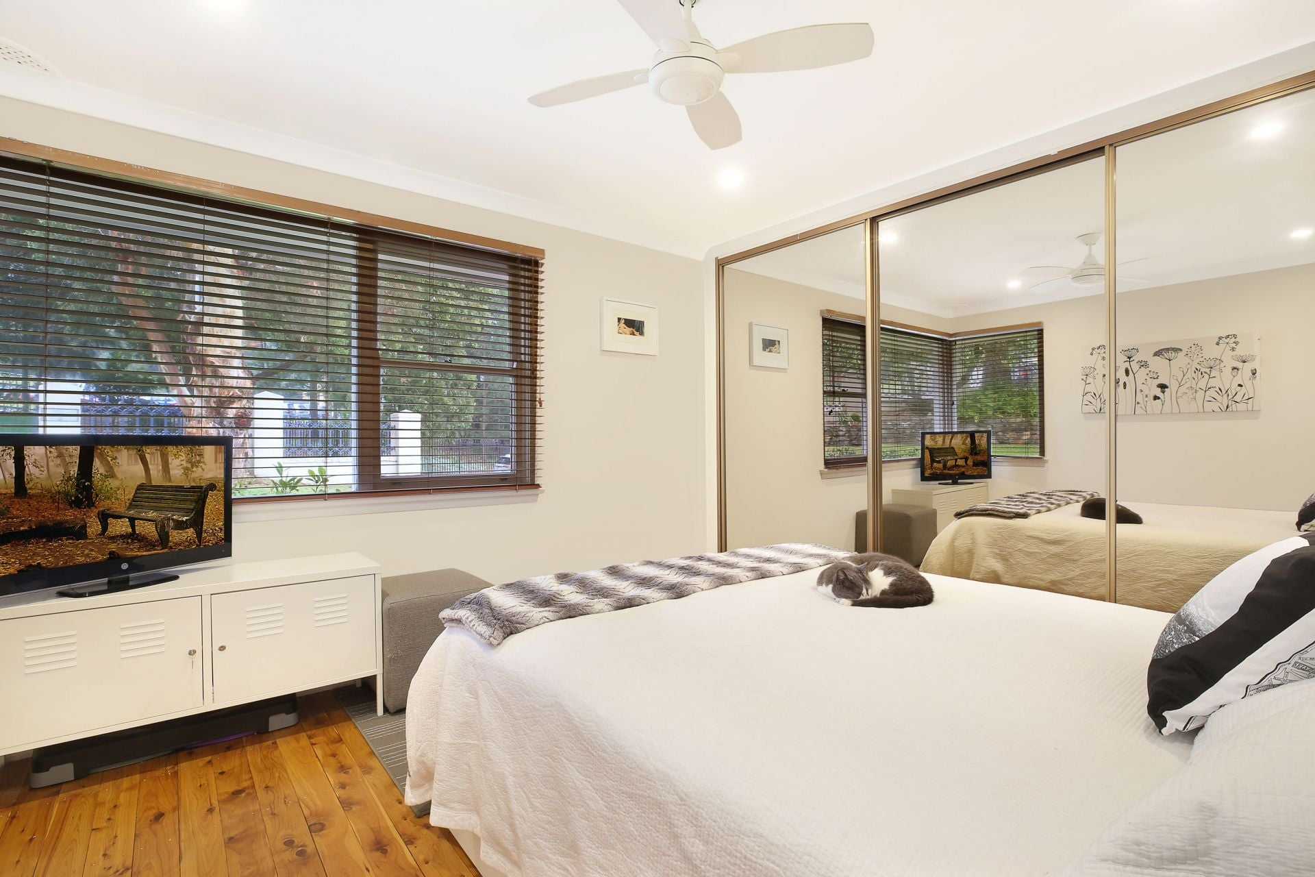 13 Porter Road, Engadine, Engadine - Thumbnail 7