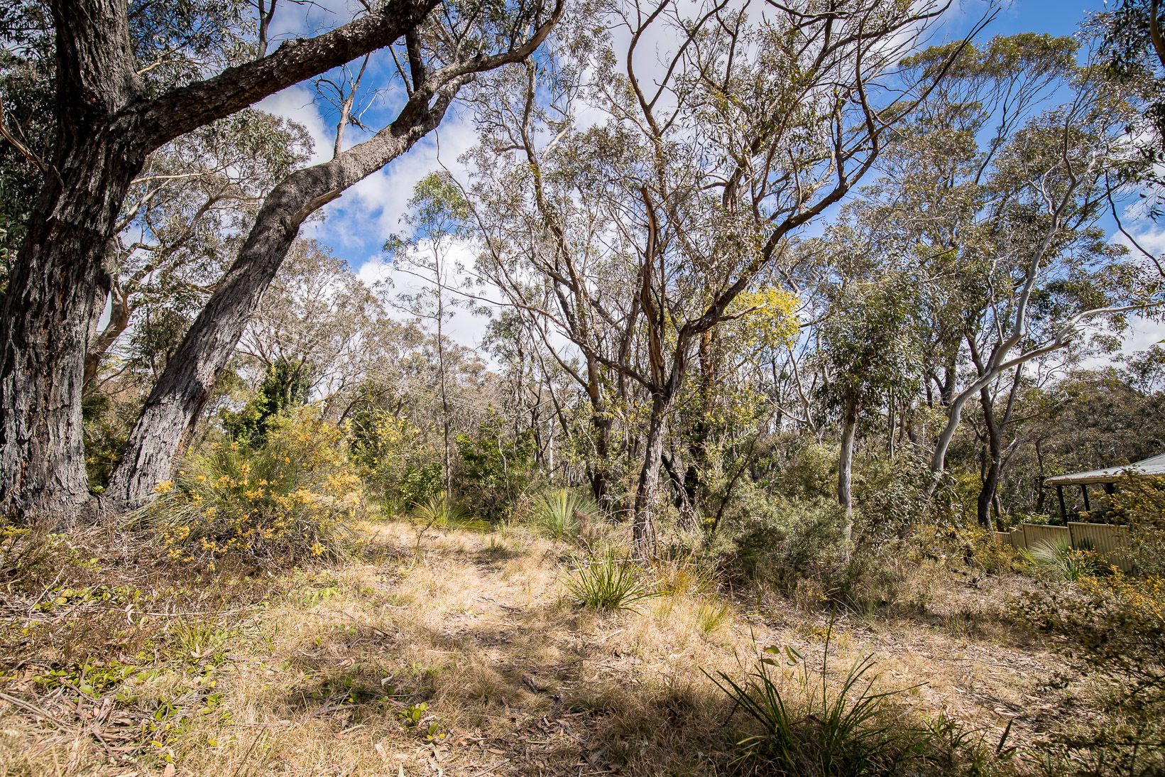 2 Fifth Avenue Katoomba 2780