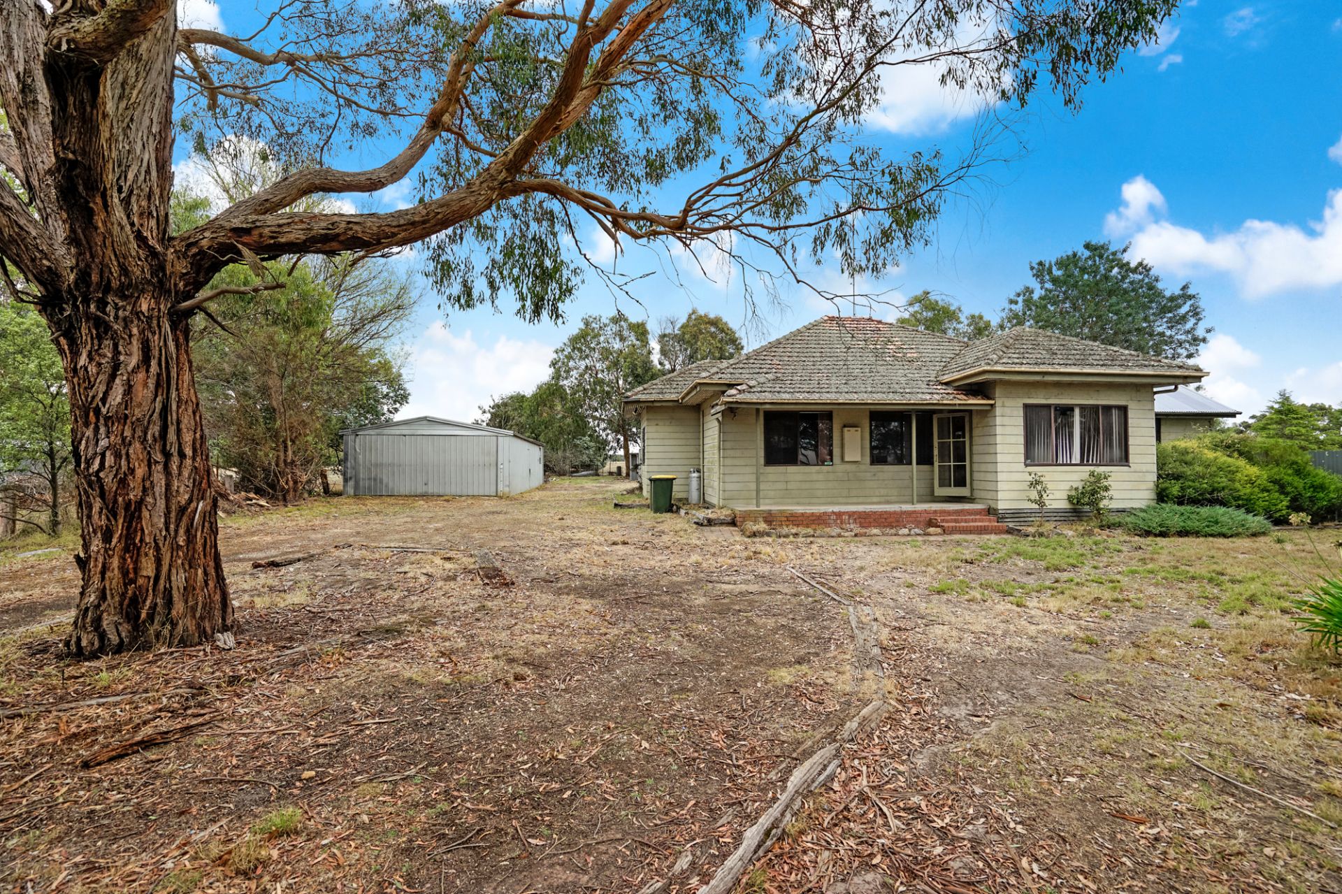 264 Wilsons  Road, Haddon, Haddon - Thumbnail 3