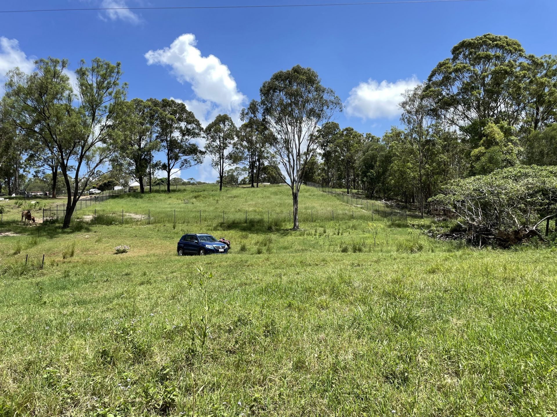 385 Raynbird Road Narangba QLD, Narangba - Thumbnail 5