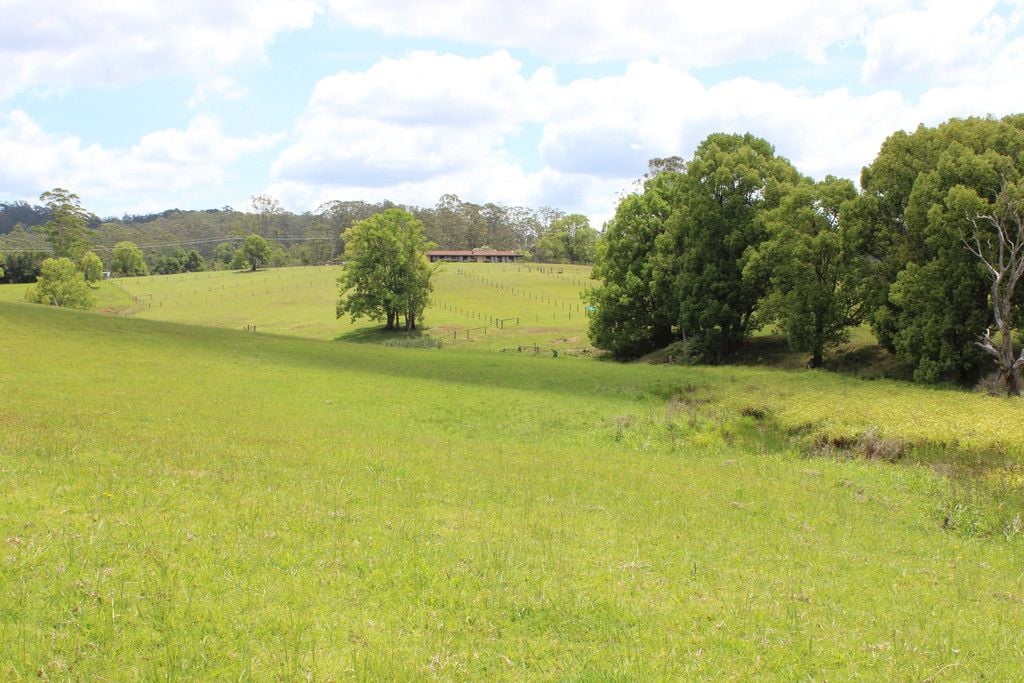 990 Stewarts River Road, LORNE NSW 2439