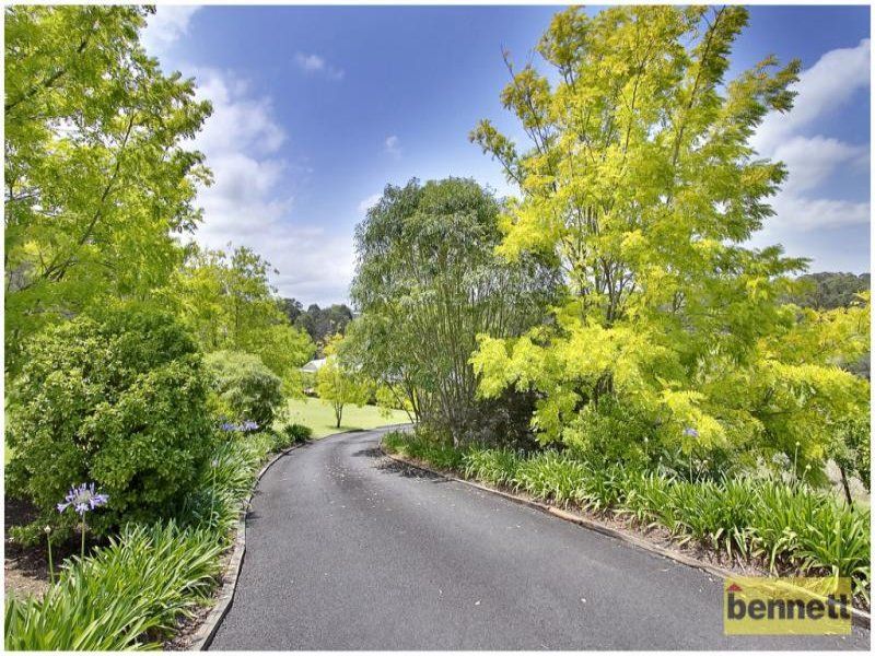 77 Comleroy Road, Kurrajong - Thumbnail 4
