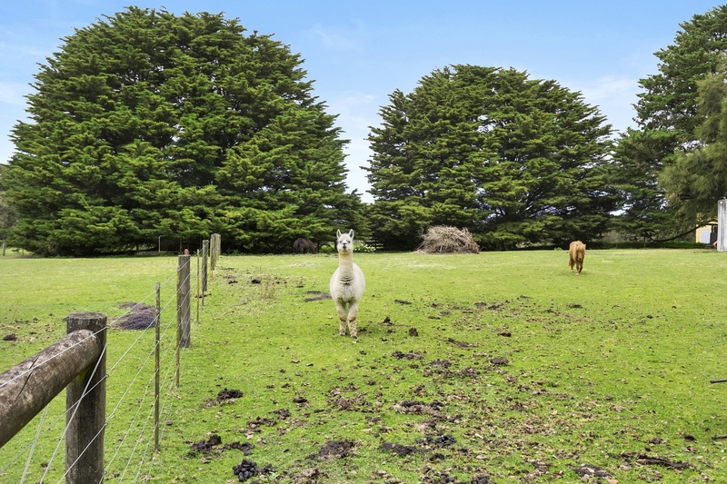 1125 Winchelsea – Deans Marsh Road BAMBRA VIC, Bambra - Thumbnail 4