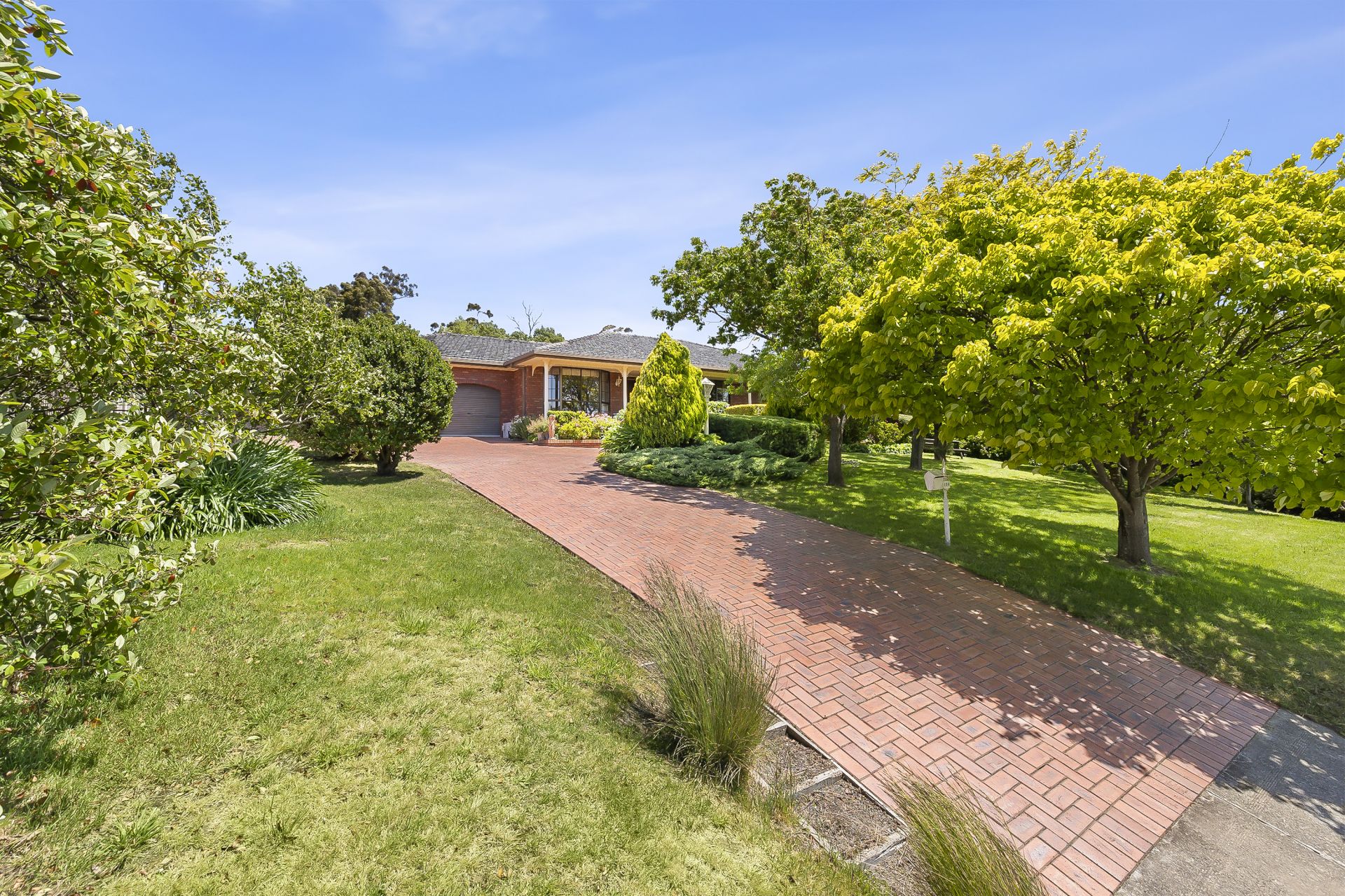 124 Finlay Street Brown Hill VIC, Brown Hill - Thumbnail 4
