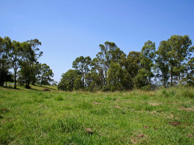 KURRAJONG, NSW, Kurrajong - Thumbnail 4