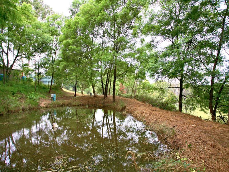 KURRAJONG, NSW, Kurrajong - Thumbnail 6
