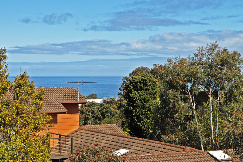 11 Second Avenue, Anglesea, VIC, Anglesea - Thumbnail 4