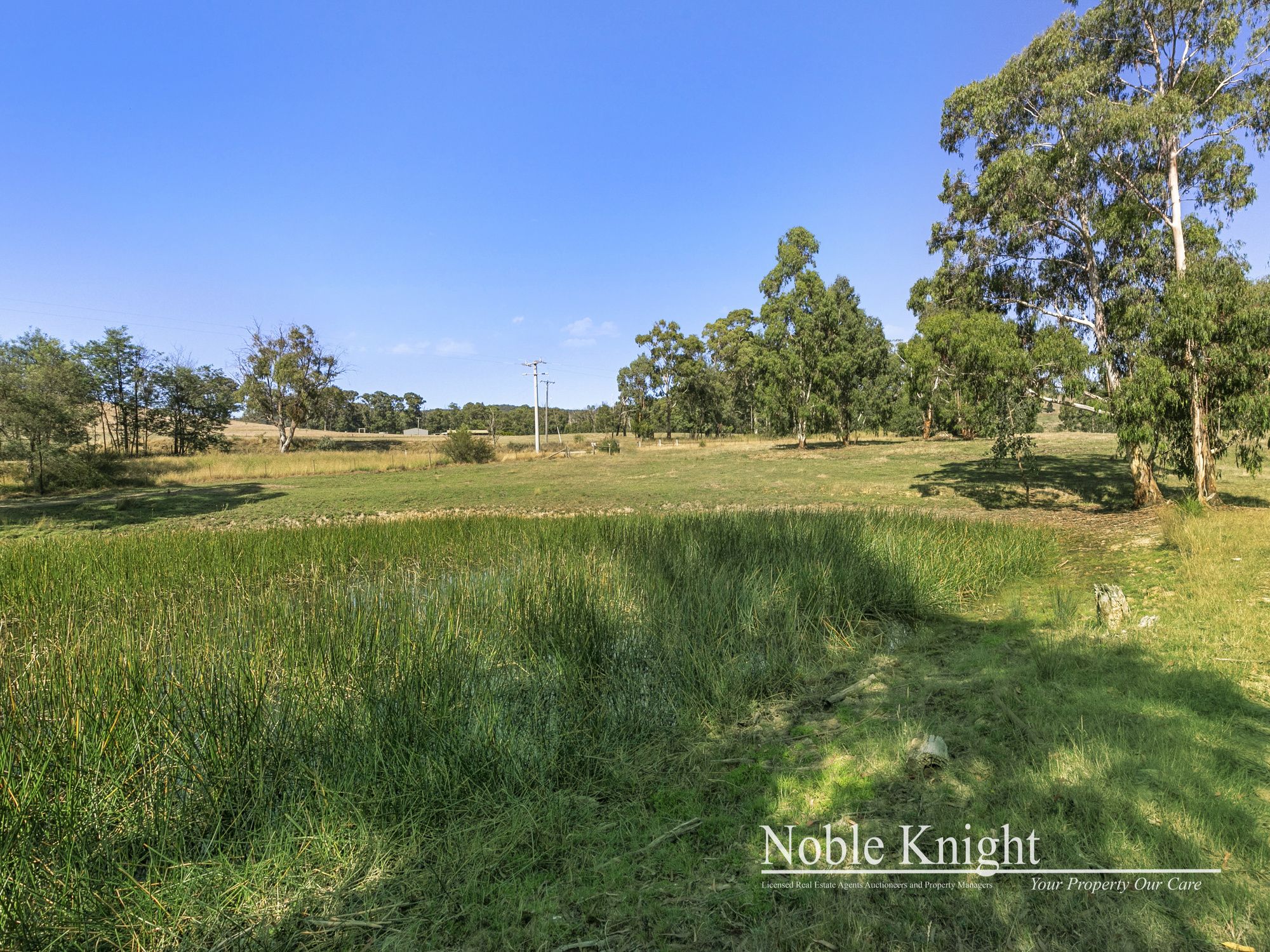 253 Wilhelmina Falls Road Murrindindi