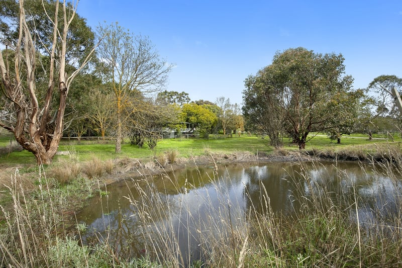 5 Aurel Road, Deans Marsh, VIC, Deans Marsh - Thumbnail 6