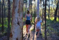 69 Mason Court Noosaville QLD, Noosaville - Thumbnail 4