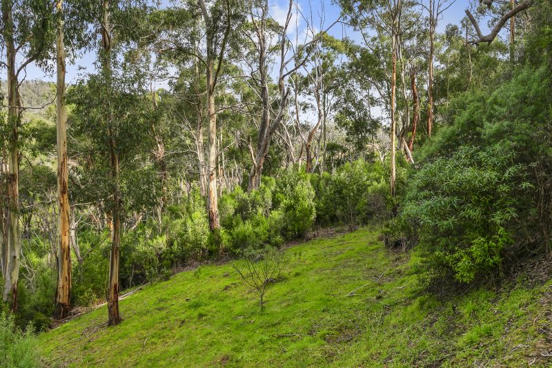 35 Riverside Drive, Wye River, VIC, Wye River - Thumbnail 5