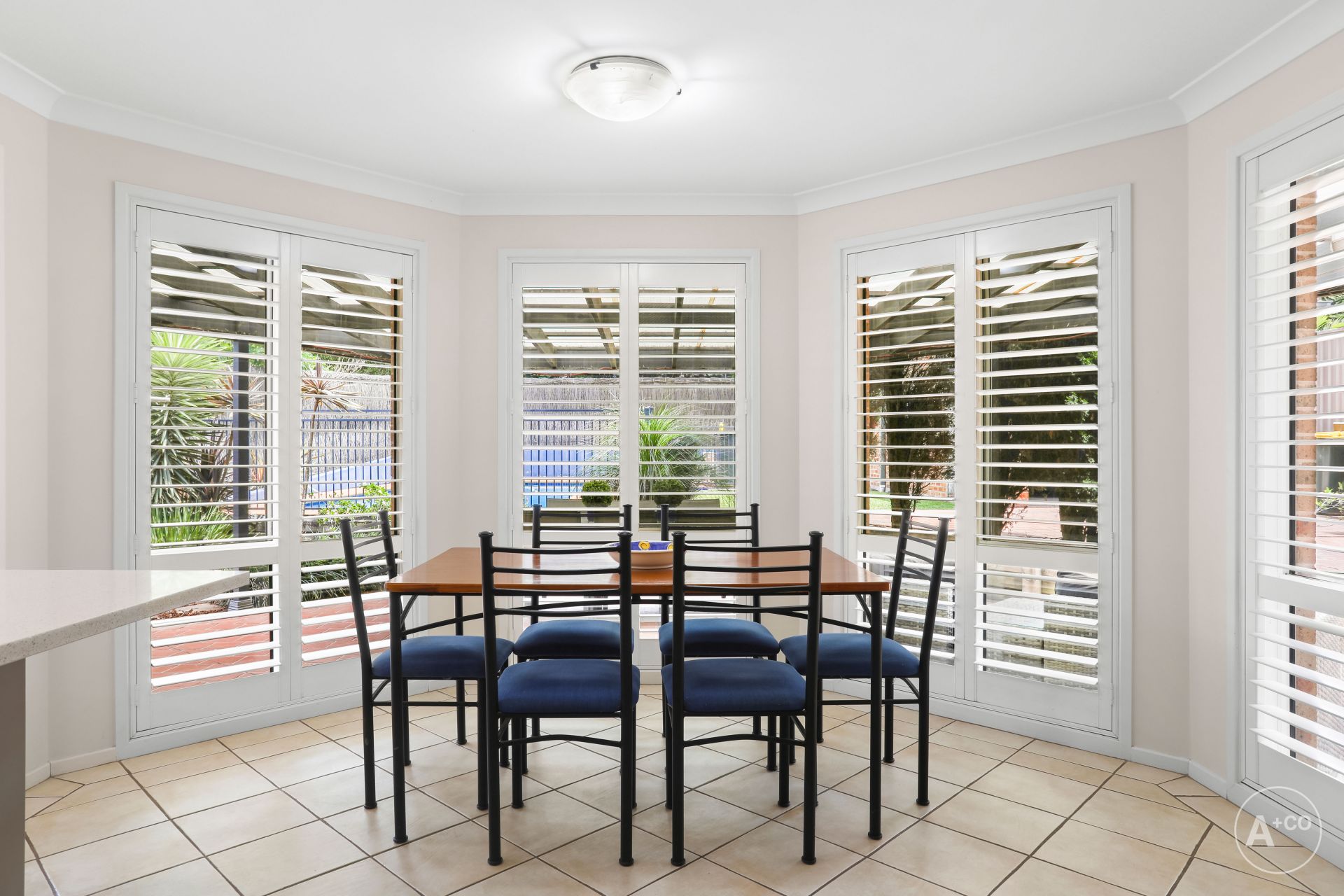 54 Austral Street, Malabar Agents + Co Property Group