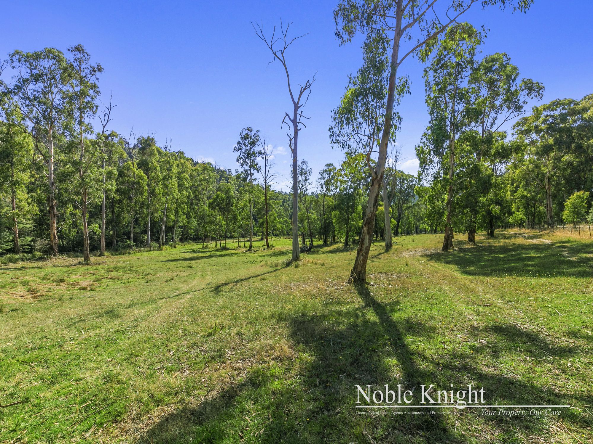 253 Wilhelmina Falls Road Murrindindi