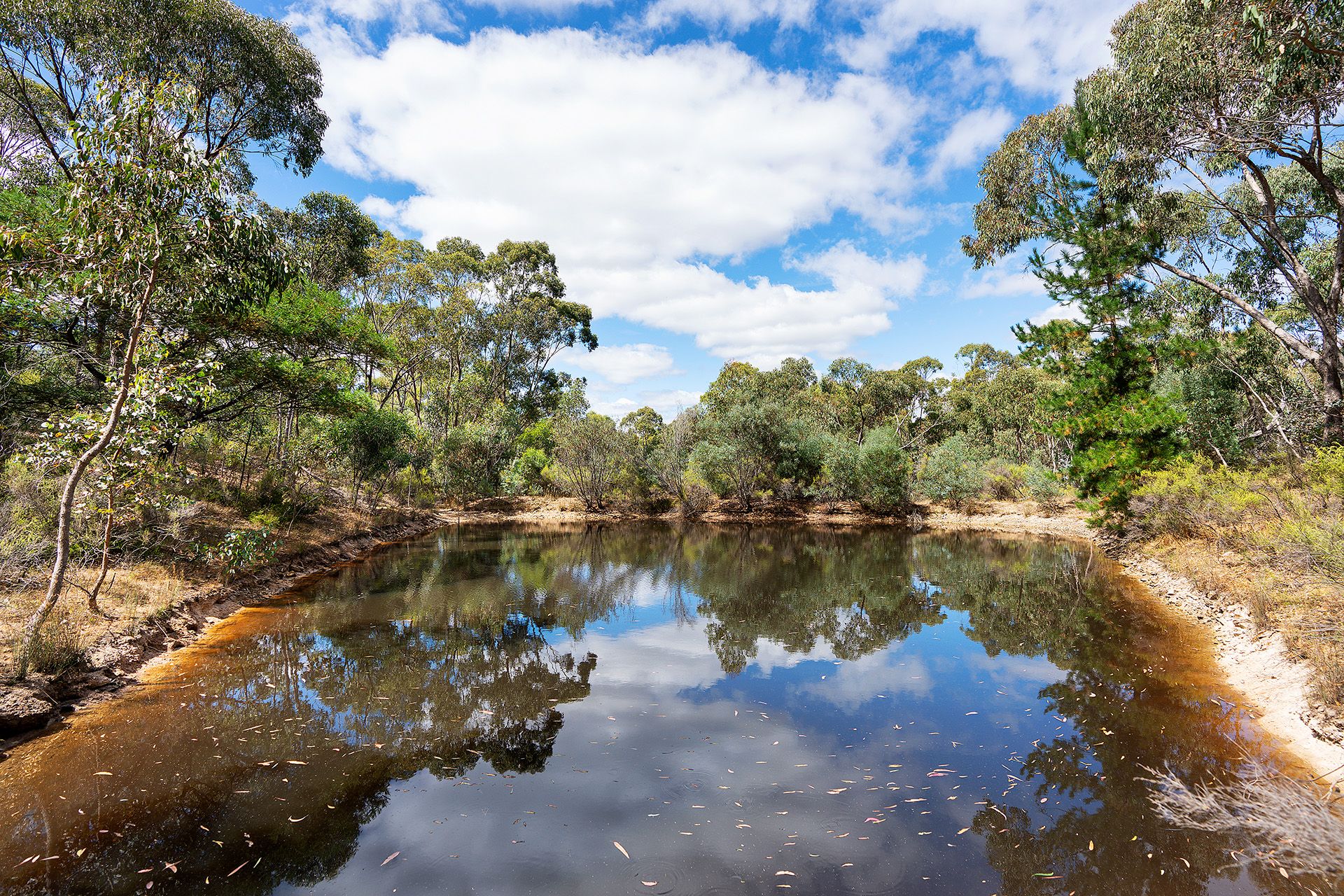 87 Congdon Road, Barkers Creek - Thumbnail 4