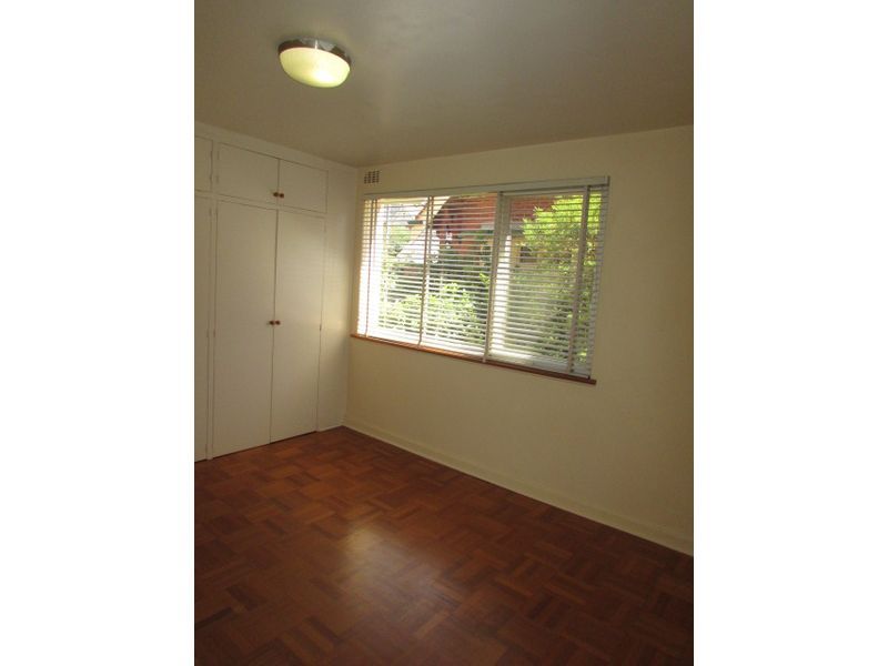 **Spacious and Sunny**