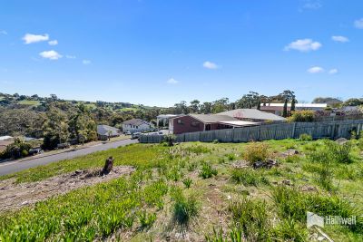 10 Georgiana Street, Devonport, Devonport - Thumbnail 7