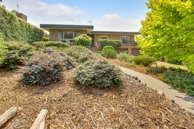 50 Ballarat Street, Fisher